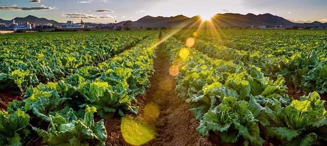 �����r�IҎ���J�C